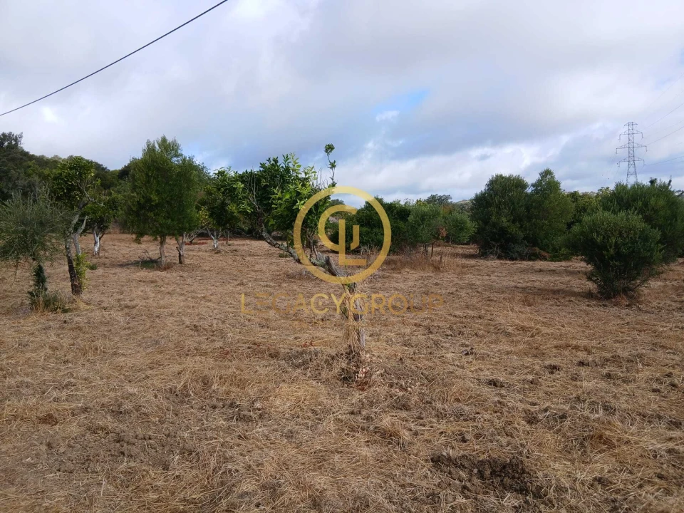 Terreno para Venda em São Brás de Alportel Foto 7