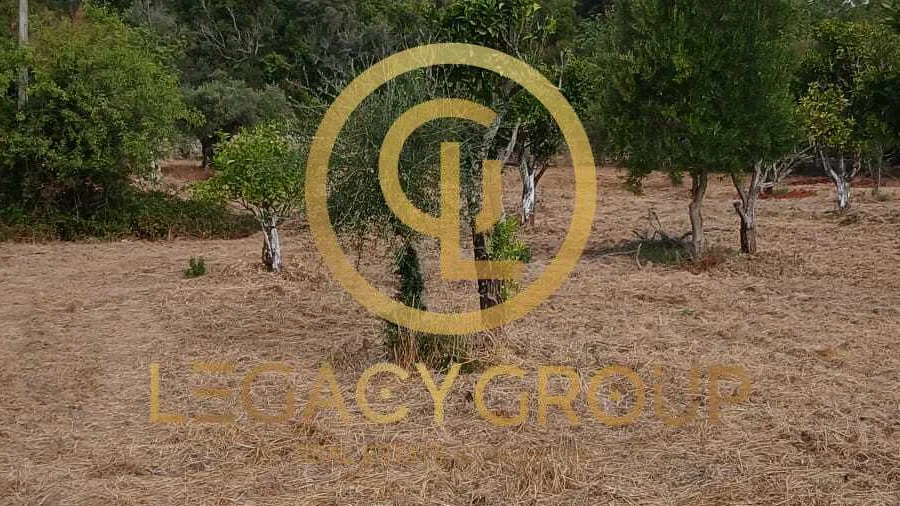 Terreno para Venda em São Brás de Alportel