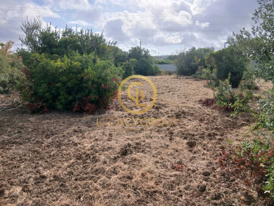 Terreno para Venda em São Brás de Alportel Foto 8