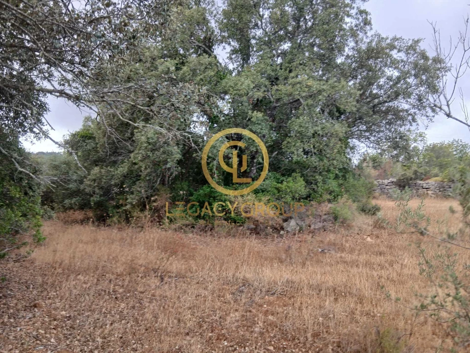 Terreno para Venda em Conceição e Estoi Foto 19