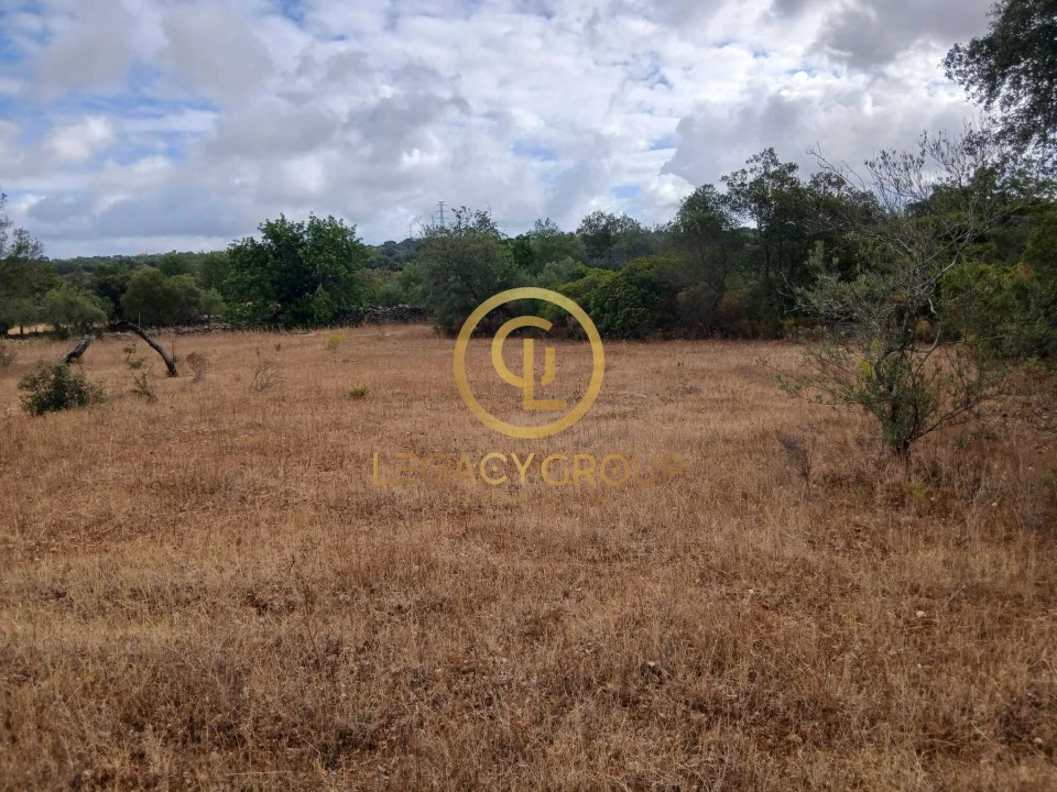 Terreno para Venda em Conceição e Estoi Foto 16