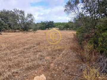 Terreno para Venda em Conceição e Estoi