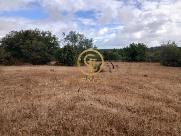 Terreno para Venda em Conceição e Estoi