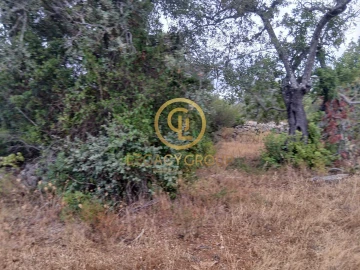 Terreno para Venda em Conceição e Estoi