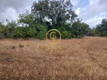 Terreno para Venda em Conceição e Estoi