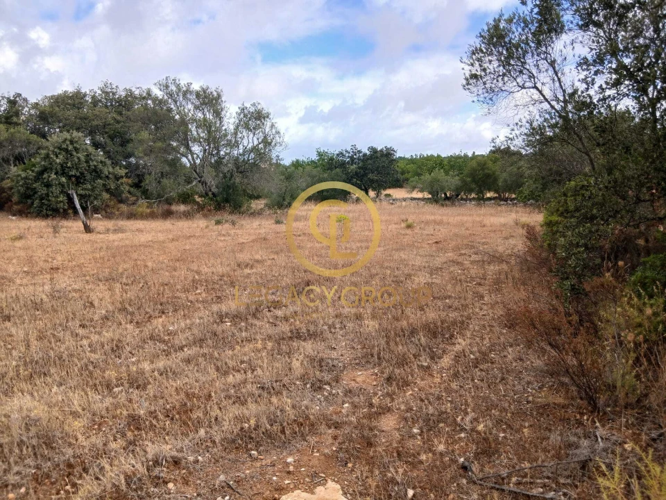 Terreno para Venda em Conceição e Estoi Foto 17