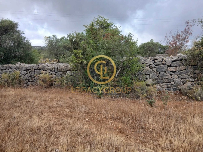 Terreno para Venda em Conceição e Estoi Foto 10
