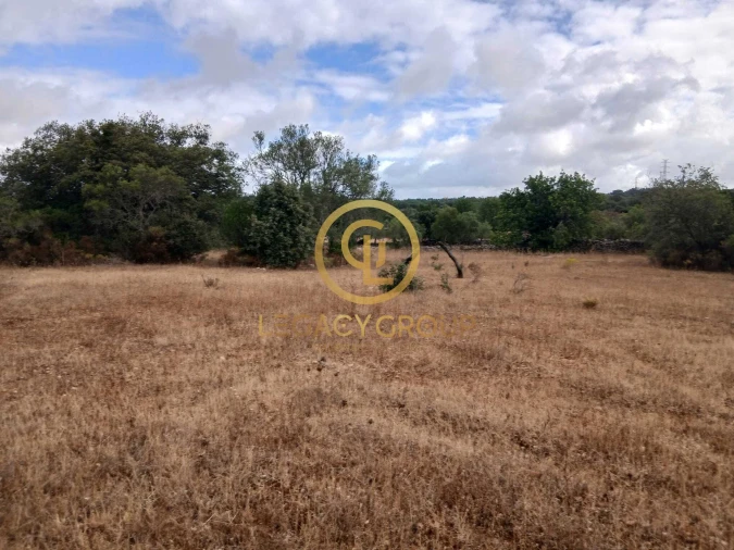 Terreno para Venda em Conceição e Estoi Foto 11