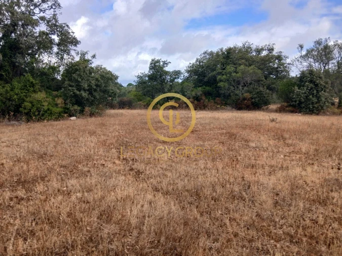 Terreno para Venda em Conceição e Estoi Foto 12