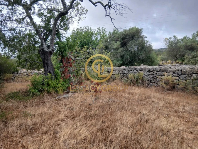 Terreno para Venda em Conceição e Estoi Foto 8
