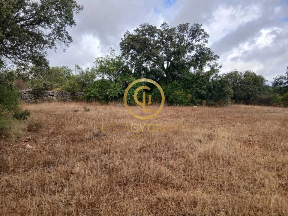Terreno para Venda em Conceição e Estoi Foto 15