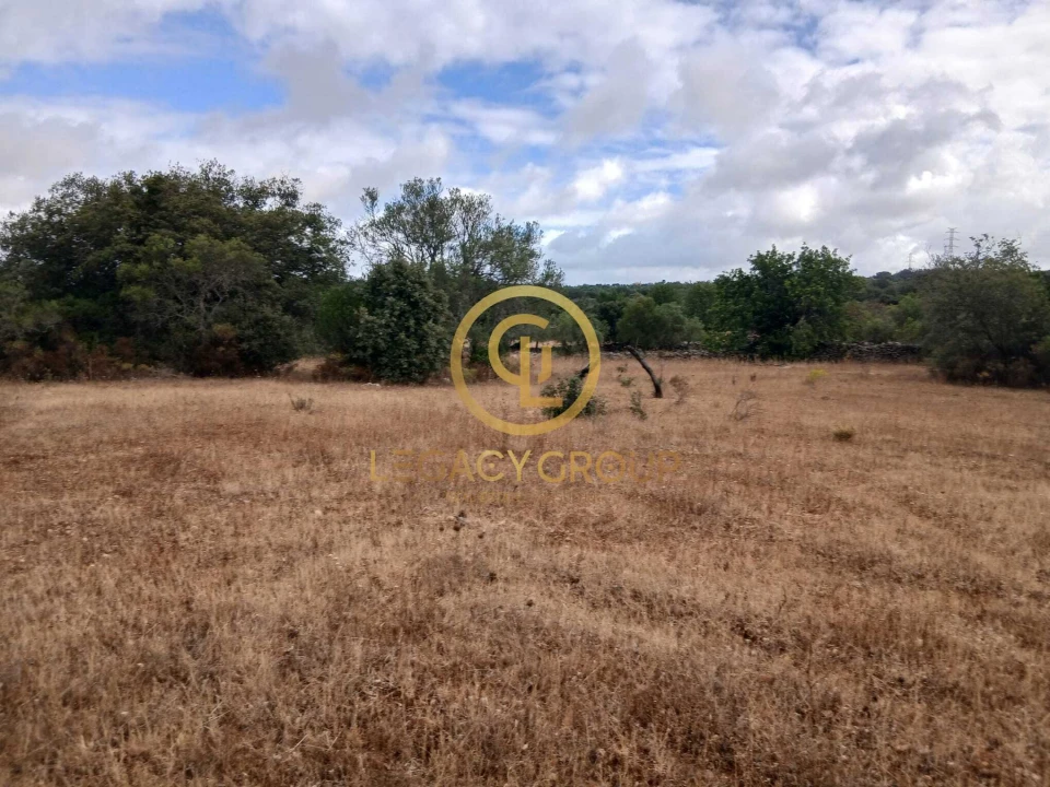 Terreno para Venda em Conceição e Estoi Foto 11