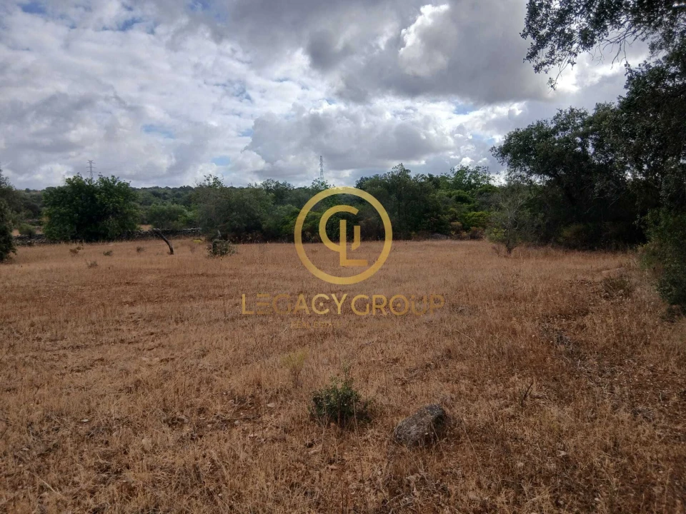 Terreno para Venda em Conceição e Estoi Foto 3