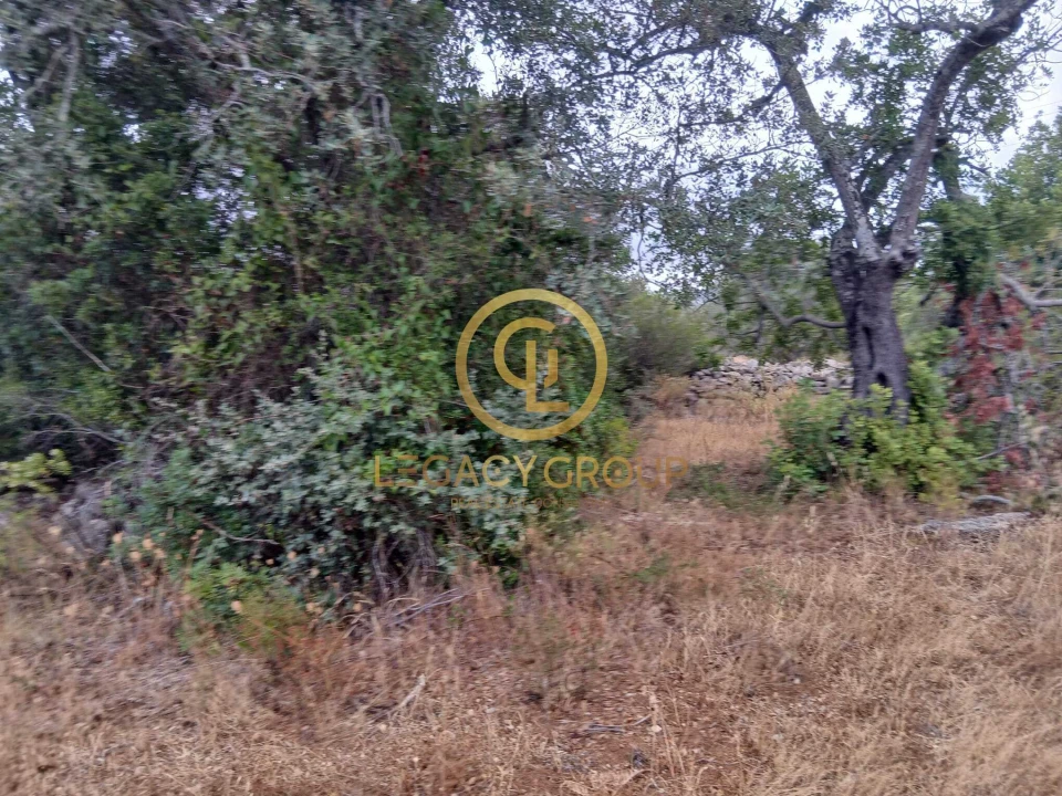 Terreno para Venda em Conceição e Estoi Foto 6