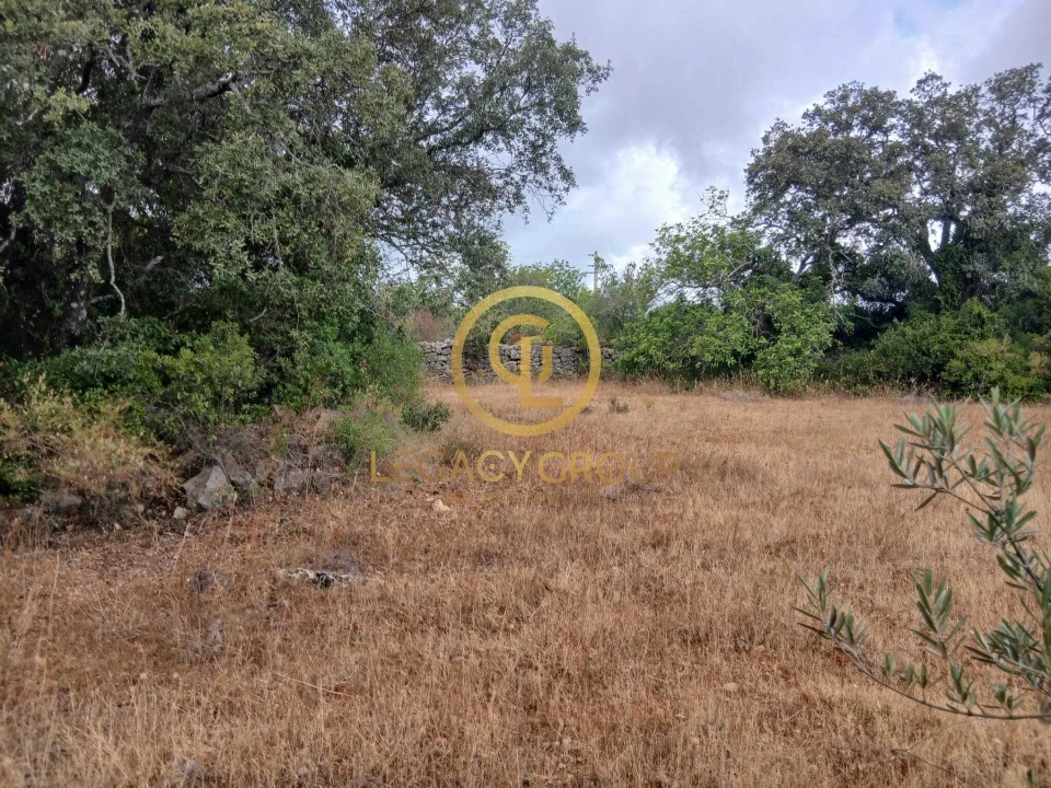 Terreno para Venda em Conceição e Estoi Foto 14