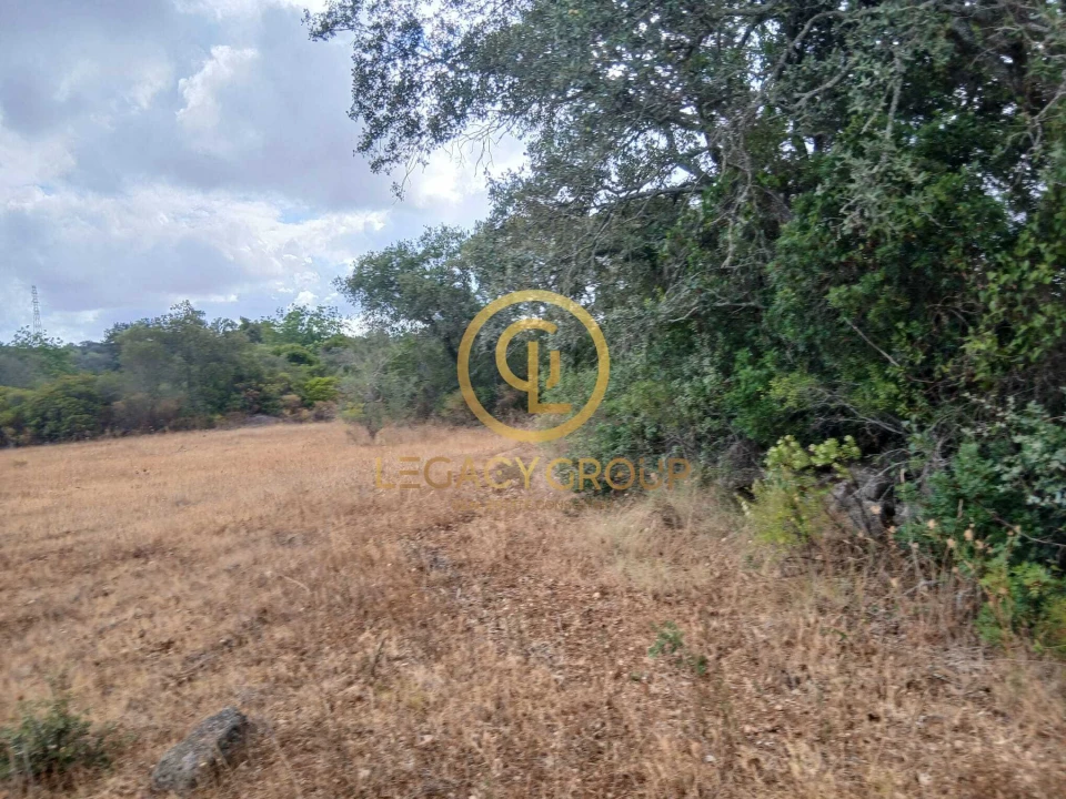 Terreno para Venda em Conceição e Estoi Foto 7