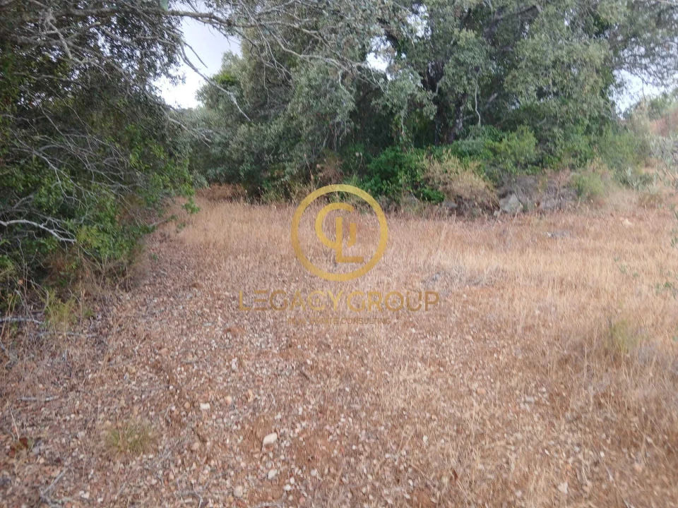 Terreno para Venda em Conceição e Estoi Foto 18
