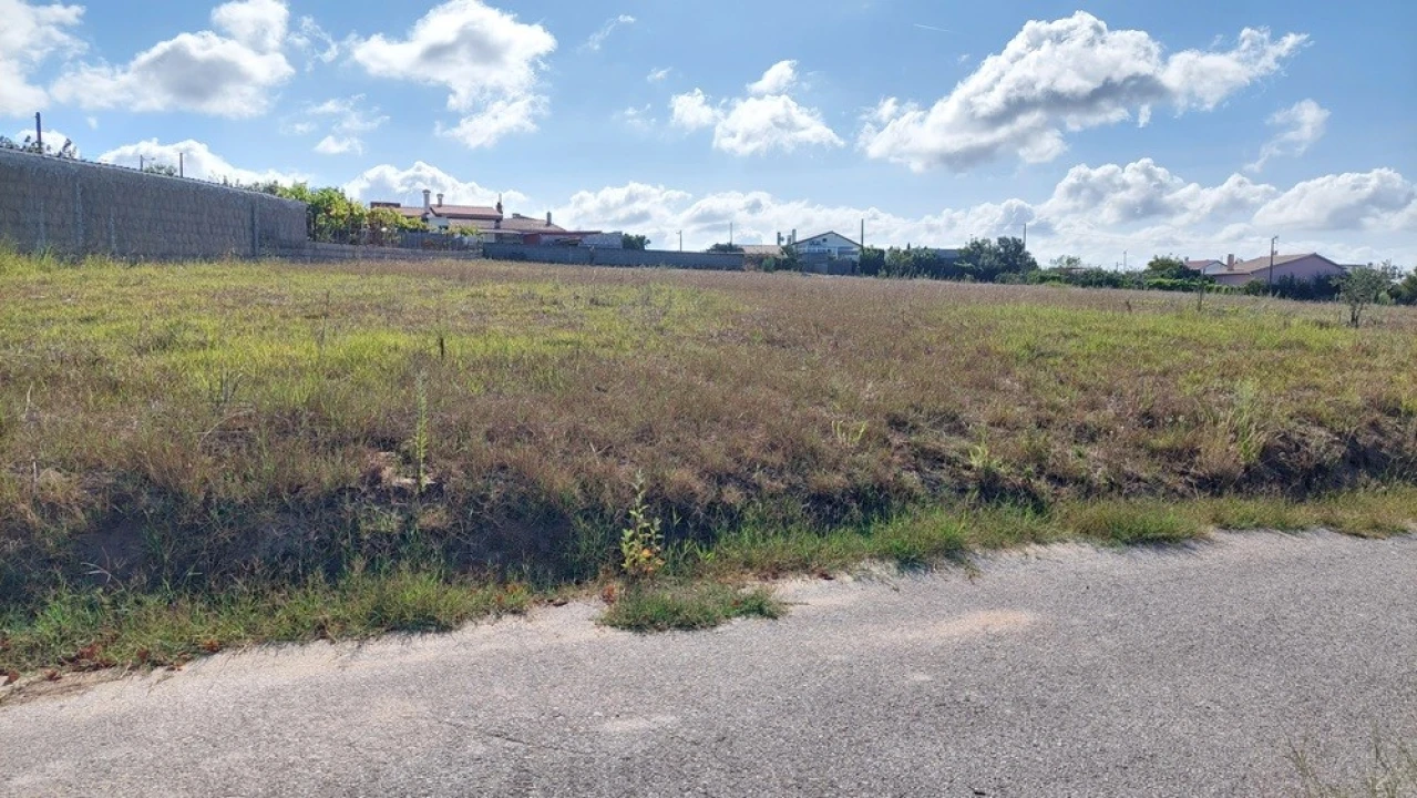 Terreno para Venda em Souto da Carpalhosa e Ortigosa Foto 2