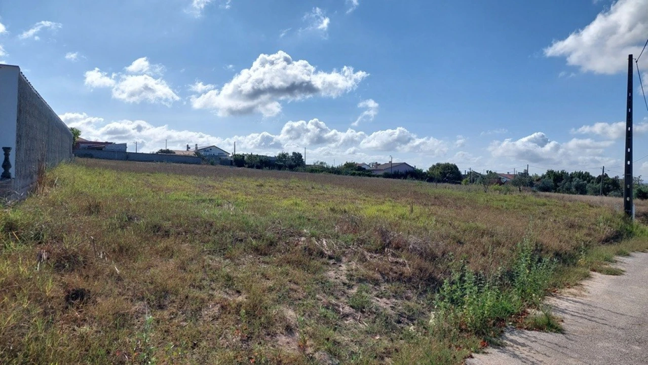 Terreno para Venda em Souto da Carpalhosa e Ortigosa Foto 6