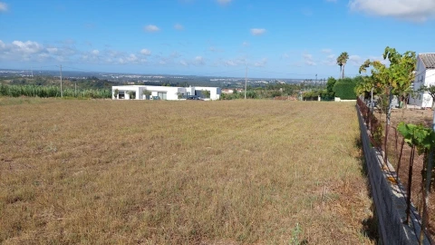 Terreno para Venda em Souto da Carpalhosa e Ortigosa