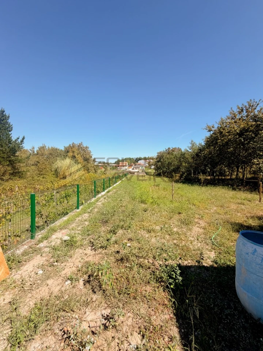 Moradia T4 para Venda em Oiã Foto 155