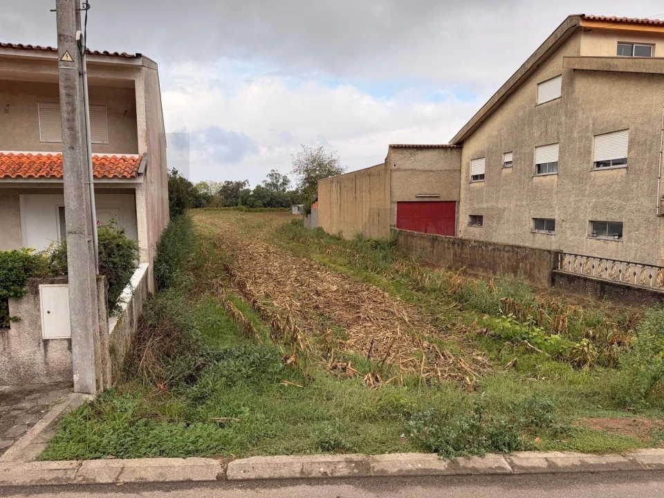 Terreno para Venda em Travassô e Óis da Ribeira Foto 2