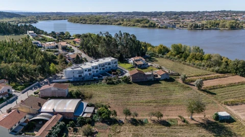 Terreno para Venda em Travassô e Óis da Ribeira
