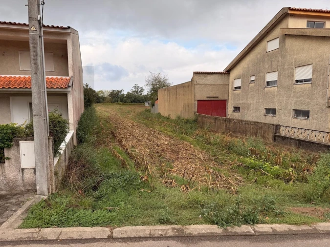 Terreno para Venda em Travassô e Óis da Ribeira Foto 2
