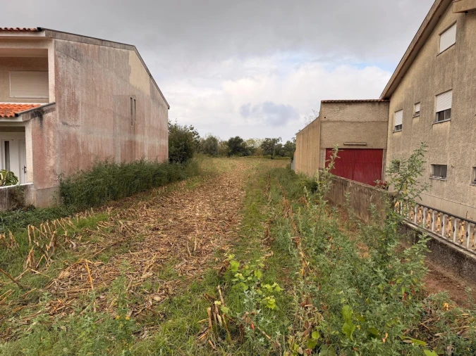 Terreno para Venda em Travassô e Óis da Ribeira Foto 4