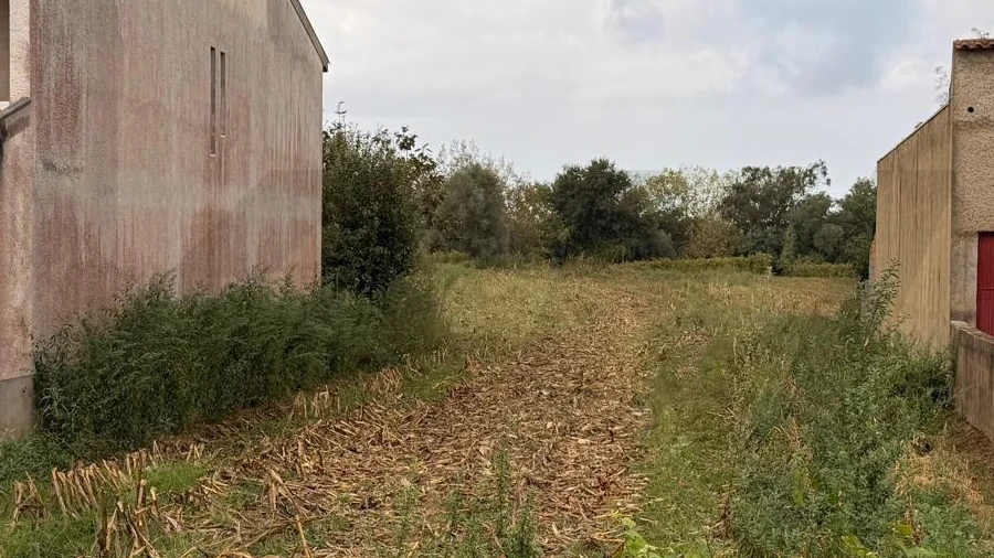 Terreno para Venda em Travassô e Óis da Ribeira