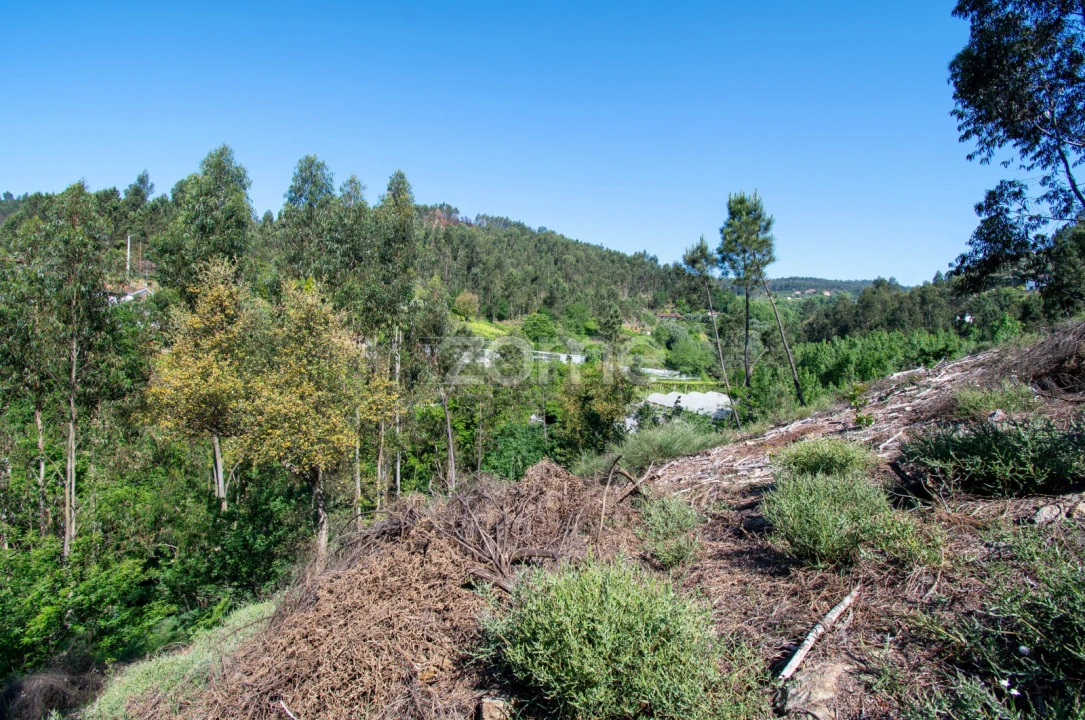 Terreno para Venda em Moreira do Castelo Foto 9