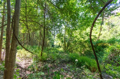 Terreno para Venda em Moreira do Castelo