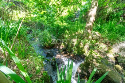 Terreno para Venda em Moreira do Castelo