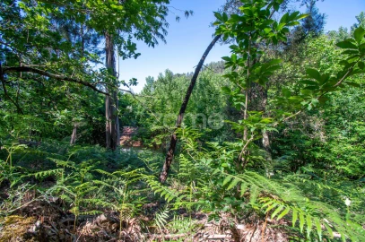 Terreno para Venda em Moreira do Castelo