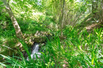 Terreno para Venda em Moreira do Castelo