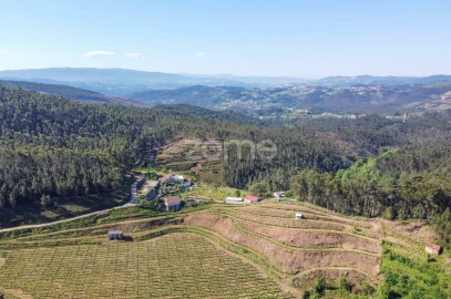 Terreno para Venda em Moreira do Castelo