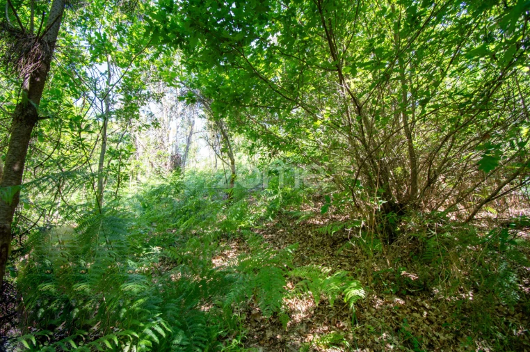 Terreno para Venda em Moreira do Castelo Foto 5