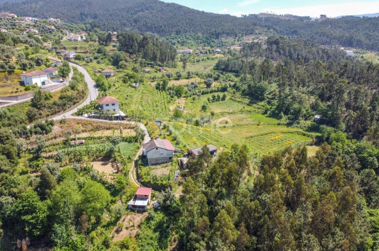 Terreno para Venda em Moreira do Castelo Foto 19