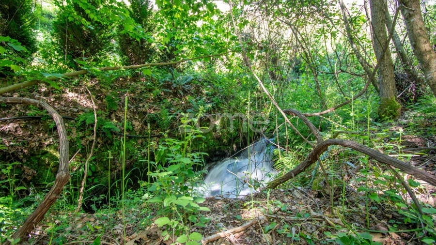 Terreno para Venda em Moreira do Castelo