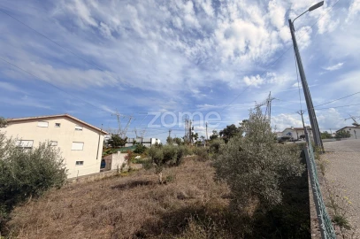 Terreno para Venda em Santa Clara e Castelo Viegas