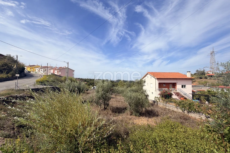 Terreno para Venda em Santa Clara e Castelo Viegas Foto 5