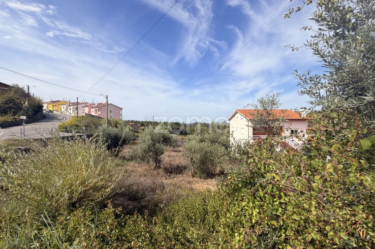 Terreno para Venda em Santa Clara e Castelo Viegas Foto 6