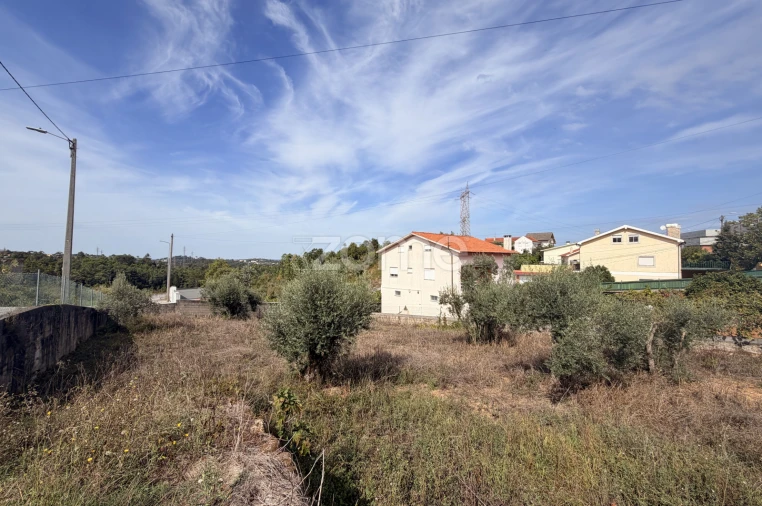 Terreno para Venda em Santa Clara e Castelo Viegas Foto 8