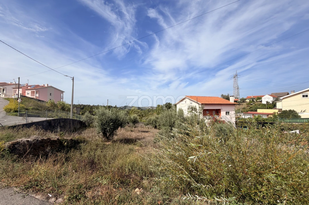 Terreno para Venda em Santa Clara e Castelo Viegas Foto 4