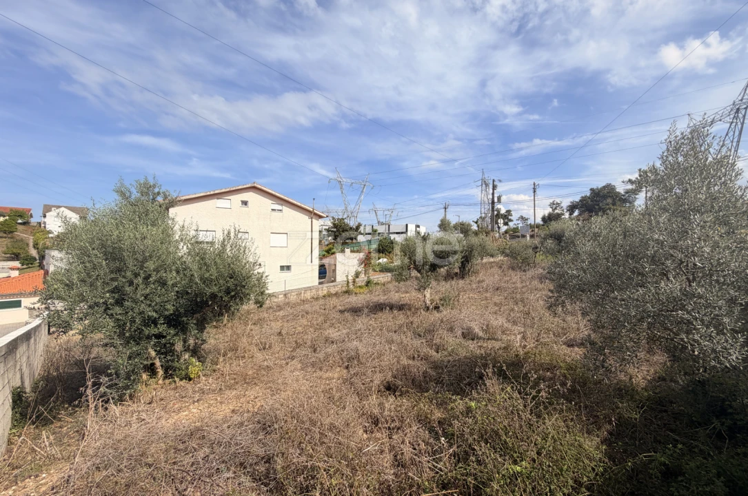 Terreno para Venda em Santa Clara e Castelo Viegas Foto 12