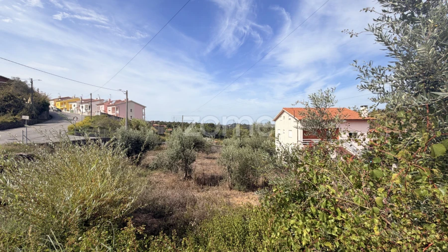 Terreno para Venda em Santa Clara e Castelo Viegas