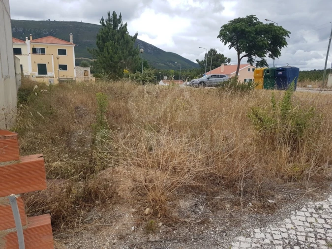 Terreno para Venda em Alenquer (Santo Estêvão e Triana) Foto 4