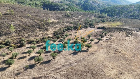 Terreno para Venda em Perais