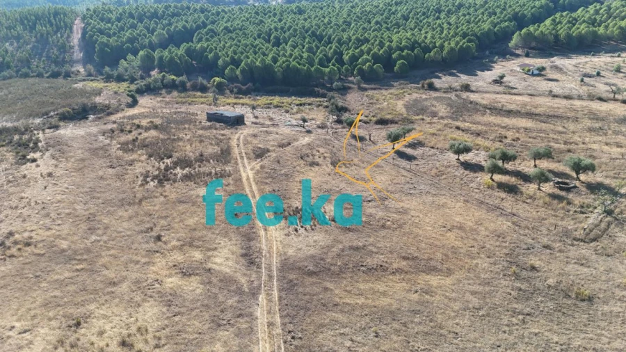 Terreno para Venda em Perais Foto 18