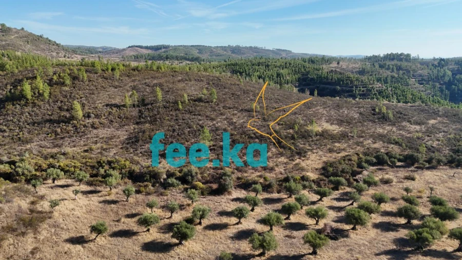Terreno para Venda em Perais Foto 21